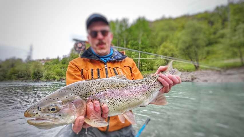 biug rainbow trout (Small).